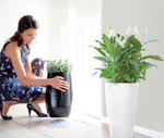 floorprotector rund 15cm transparent